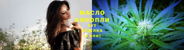 мдпв Тобольск