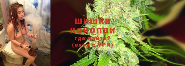 молекула духа Белокуриха