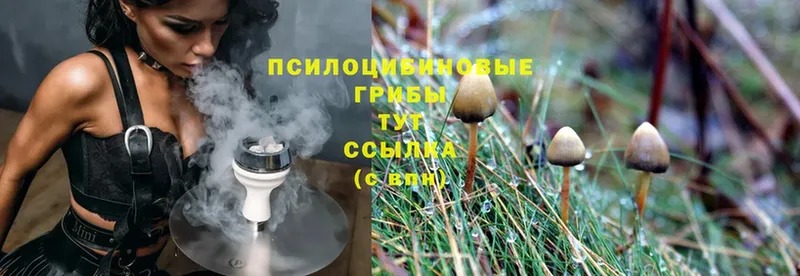 Псилоцибиновые грибы MAGIC MUSHROOMS  Бирюсинск 